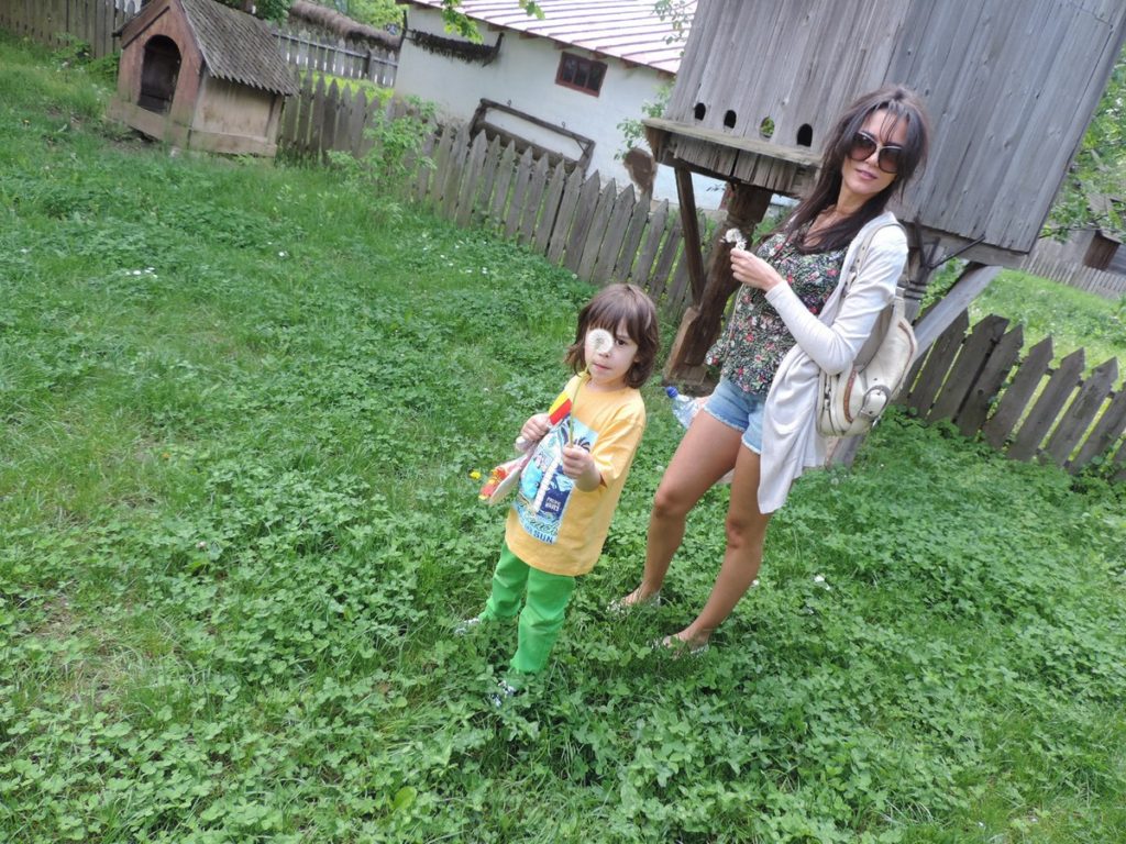 MUZEUL SATULUI ruxandra luca