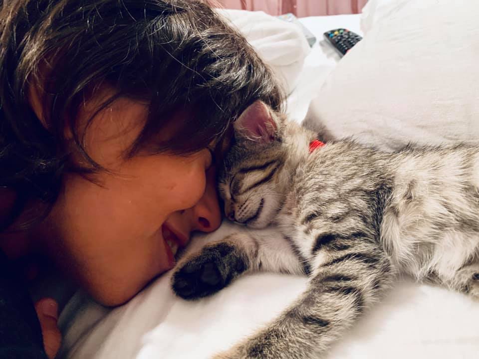Am adoptat un pui de pisica