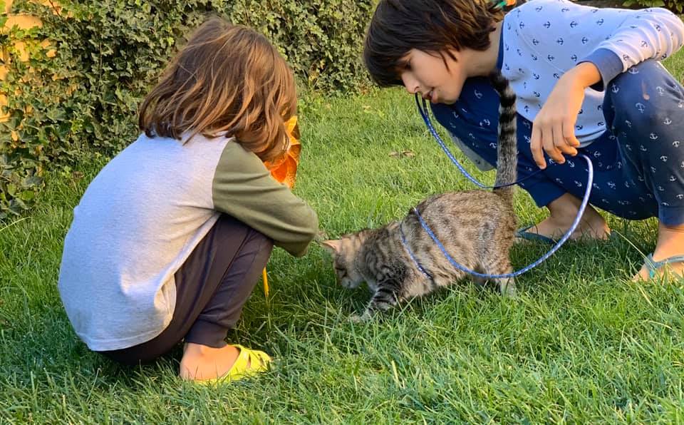 5 metode simple prin care îmi împrietenesc copiii cu natura