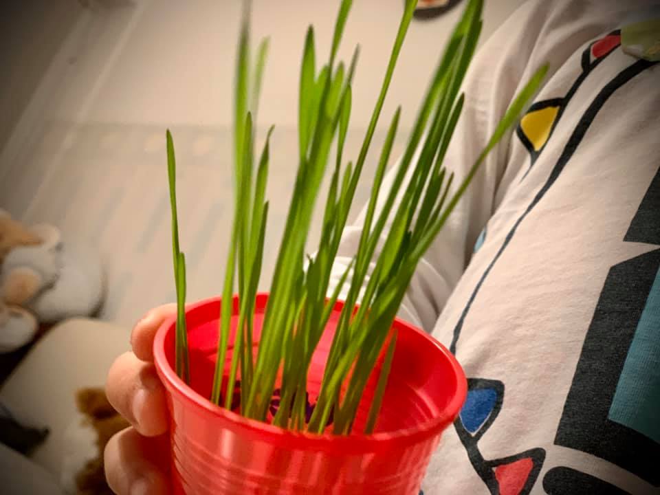 4 idei de activități creative pentru întreaga familie